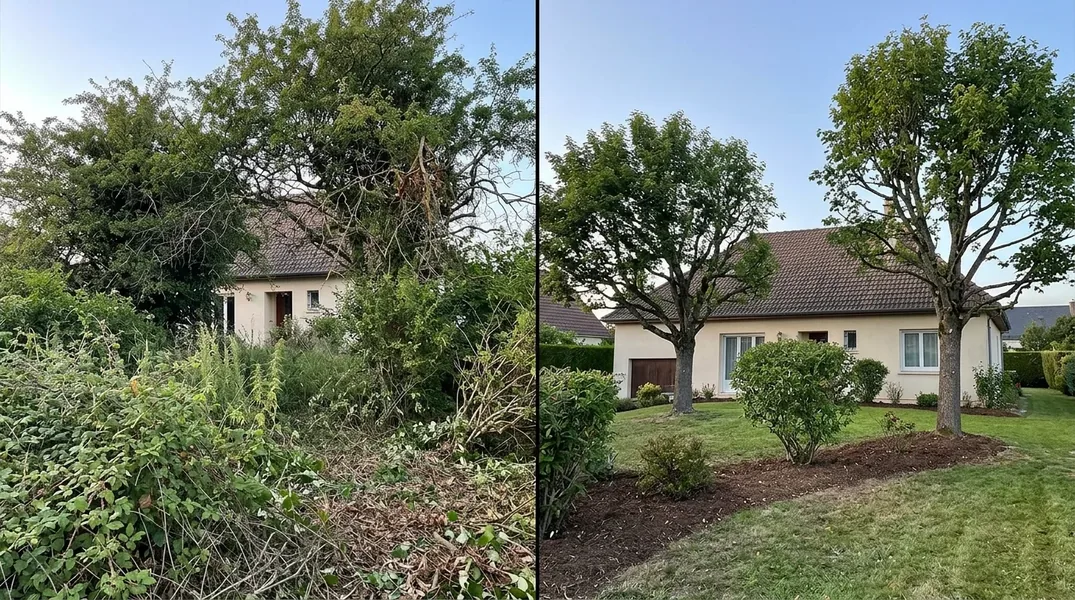 Résultat élagage dans le Var — Elagage Toulon