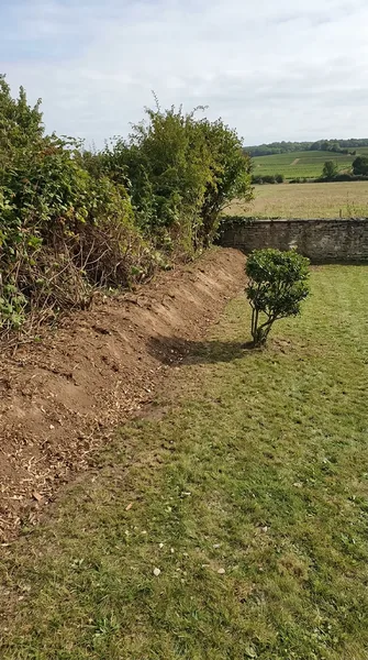 Patrick G.